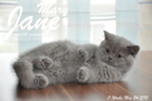 Mary Jane ist 11 Wochen alt geworden (24.05.2015)