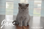 Mary Jane ist 11 Wochen alt geworden (24.05.2015)
