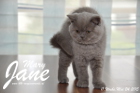 Mary Jane ist 11 Wochen alt geworden (24.05.2015)