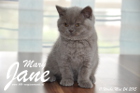 Mary Jane ist 11 Wochen alt geworden (24.05.2015)