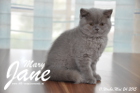 Mary Jane ist 11 Wochen alt geworden (24.05.2015)