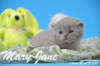 Mary Jane ist 3 Wochen alt geworden (28.03.2015)