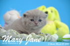 Mary Jane ist 3 Wochen alt geworden (28.03.2015)