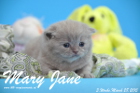 Mary Jane ist 3 Wochen alt geworden (28.03.2015)