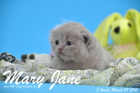 Mary Jane ist 3 Wochen alt geworden (28.03.2015)