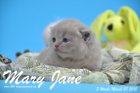 Mary Jane ist 3 Wochen alt geworden (28.03.2015)