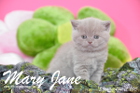 Mary Jane ist 5 Wochen alt geworden (12.04.2015)