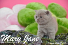 Mary Jane ist 5 Wochen alt geworden (12.04.2015)
