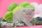 Mary Jane ist 5 Wochen alt geworden (12.04.2015)