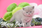 Mary Jane ist 5 Wochen alt geworden (12.04.2015)
