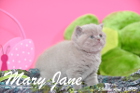 Mary Jane ist 5 Wochen alt geworden (12.04.2015)
