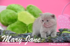 Mary Jane ist 5 Wochen alt geworden (12.04.2015)