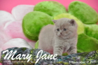Mary Jane ist 5 Wochen alt geworden (12.04.2015)