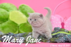Mary Jane ist 5 Wochen alt geworden (12.04.2015)