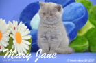 Mary Jane ist 7 Wochen alt geworden (26.04.2015)