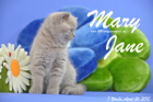 Mary Jane ist 7 Wochen alt geworden (26.04.2015)