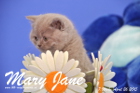 Mary Jane ist 7 Wochen alt geworden (26.04.2015)