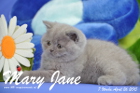 Mary Jane ist 7 Wochen alt geworden (26.04.2015)