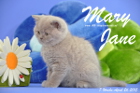 Mary Jane ist 7 Wochen alt geworden (26.04.2015)