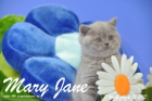 Mary Jane ist 7 Wochen alt geworden (26.04.2015)