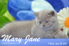 Mary Jane ist 7 Wochen alt geworden (26.04.2015)