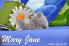 Mary Jane ist 7 Wochen alt geworden (26.04.2015)