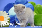 Mary Jane ist 7 Wochen alt geworden (26.04.2015)