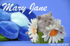Mary Jane ist 7 Wochen alt geworden (26.04.2015)