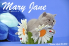 Mary Jane ist 7 Wochen alt geworden (26.04.2015)