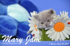 Mary Jane ist 7 Wochen alt geworden (26.04.2015)
