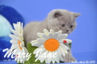 Mary Jane ist 7 Wochen alt geworden (26.04.2015)