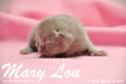 Mary Lou ist 1 Woche alt geworden (13.03.2015)