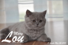 Mary Lou ist 11 Wochen alt geworden (24.05.2015)