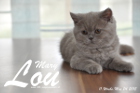 Mary Lou ist 11 Wochen alt geworden (24.05.2015)