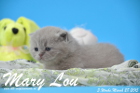 Mary Lou ist 3 Wochen alt geworden (28.03.2015)
