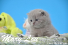 Mary Lou ist 3 Wochen alt geworden (28.03.2015)