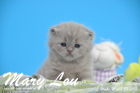 Mary Lou ist 3 Wochen alt geworden (28.03.2015)
