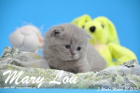 Mary Lou ist 3 Wochen alt geworden (28.03.2015)