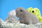 Mary Lou ist 3 Wochen alt geworden (28.03.2015)