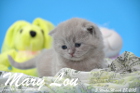 Mary Lou ist 3 Wochen alt geworden (28.03.2015)