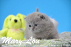 Mary Lou ist 3 Wochen alt geworden (28.03.2015)