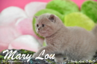 Mary Lou ist 5 Wochen alt geworden (12.04.2015)