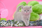 Mary Lou ist 5 Wochen alt geworden (12.04.2015)