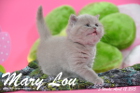 Mary Lou ist 5 Wochen alt geworden (12.04.2015)