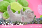 Mary Lou ist 5 Wochen alt geworden (12.04.2015)