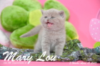 Mary Lou ist 5 Wochen alt geworden (12.04.2015)