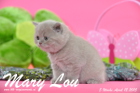 Mary Lou ist 5 Wochen alt geworden (12.04.2015)