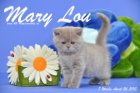 Mary Lou ist 7 Wochen alt geworden (26.04.2015)