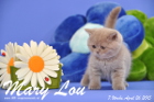 Mary Lou ist 7 Wochen alt geworden (26.04.2015)