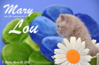 Mary Lou ist 7 Wochen alt geworden (26.04.2015)